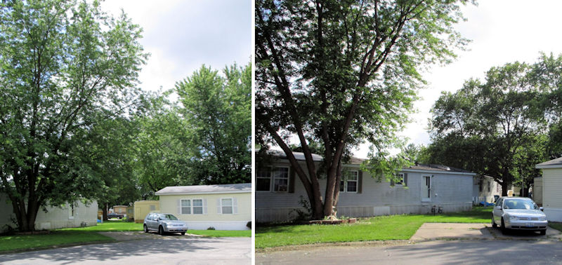 20150710 drivewayB4after.jpg